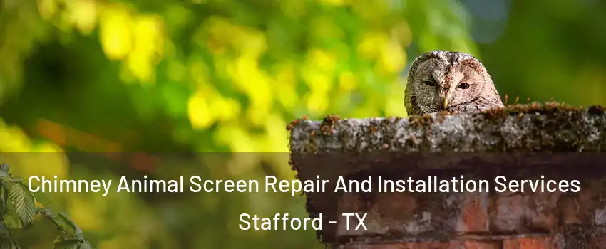  Chimney Animal Screen Repair And Installation Services Stafford - TX