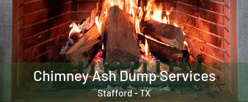 Chimney Ash Dump Services Stafford - TX
