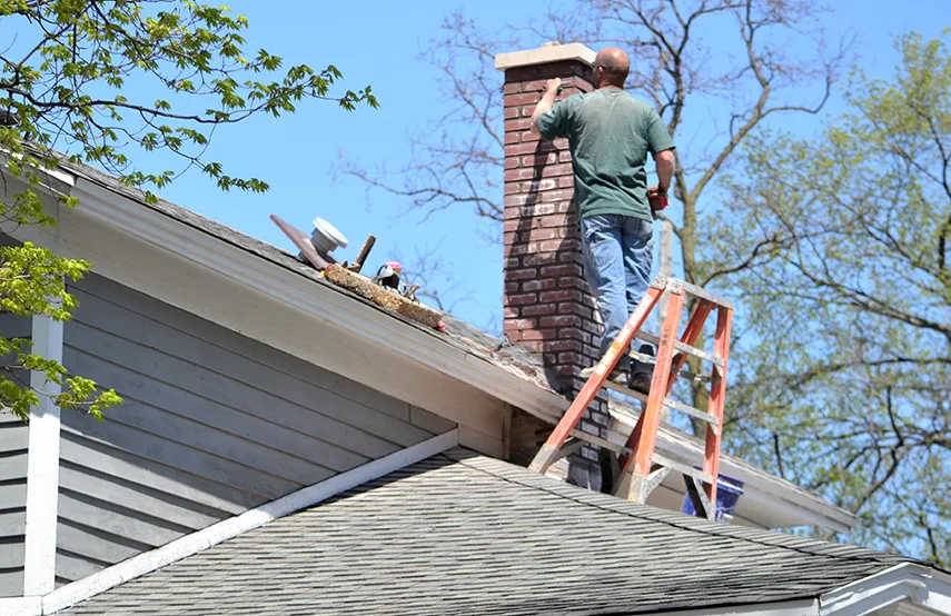 Chimney & Fireplace Inspections Services in Stafford, TX