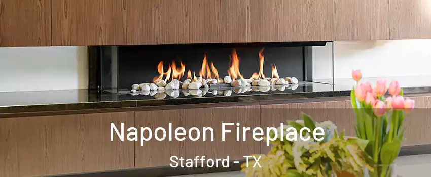 Napoleon Fireplace Stafford - TX